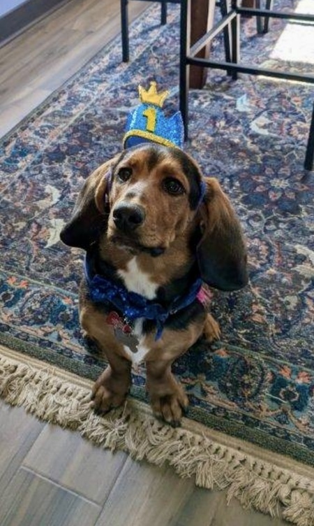 Cooper
