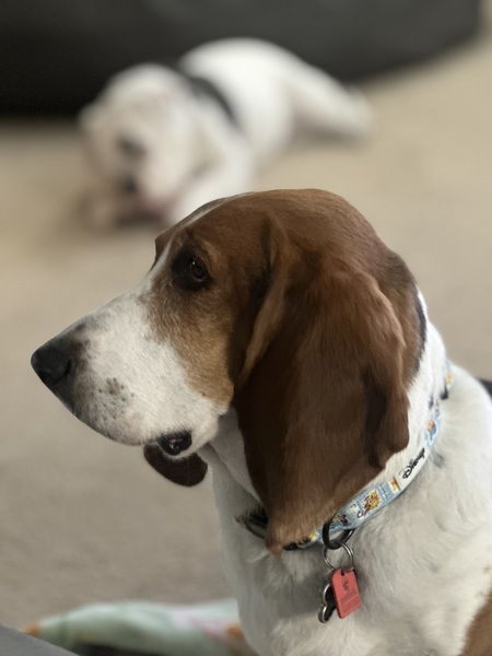 Tilly