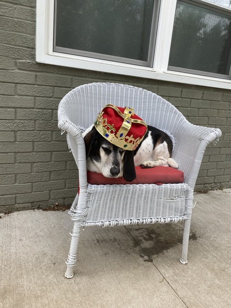 Pope snoopy