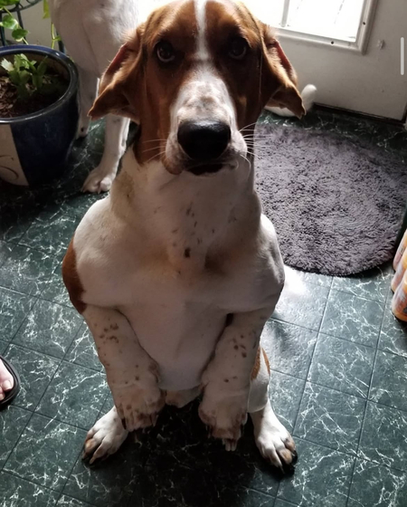 Walter