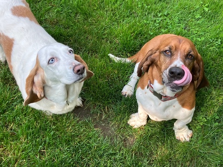 Ruby and Ferguson 