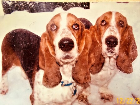 Reggie and Wrigley