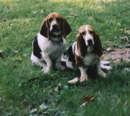 Ginny and Patty