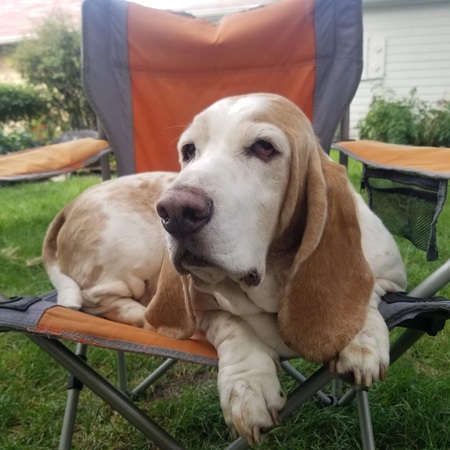 Gus