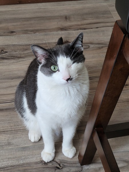 Jax