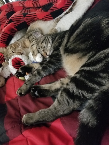 Hunter & Harley