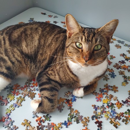 Max
