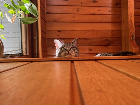 Milton