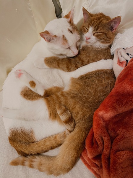 Leo & Larry