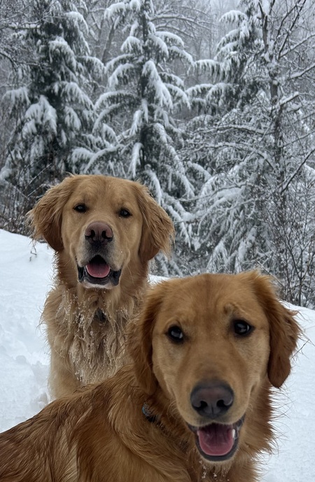 Norman & Nellie (Brother/sister)