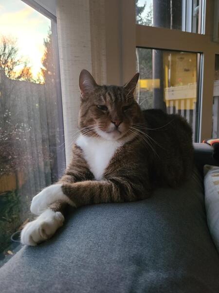 Quincy 