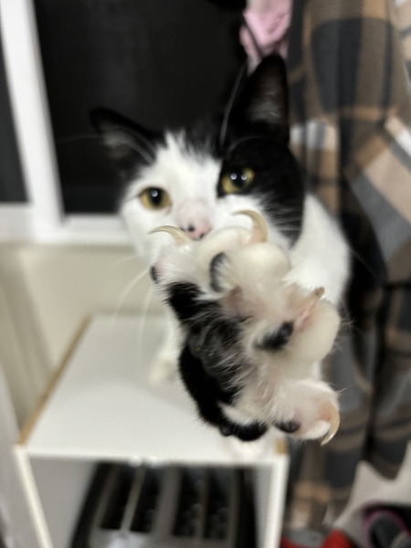Stinker