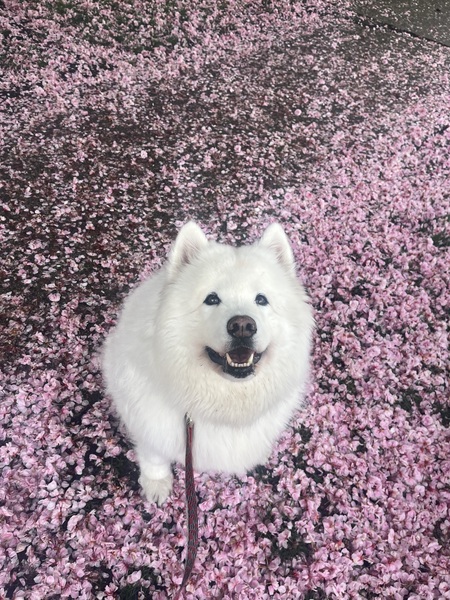 Zoë