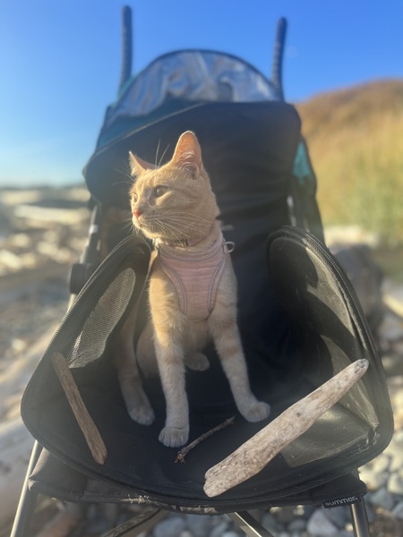 Delilah