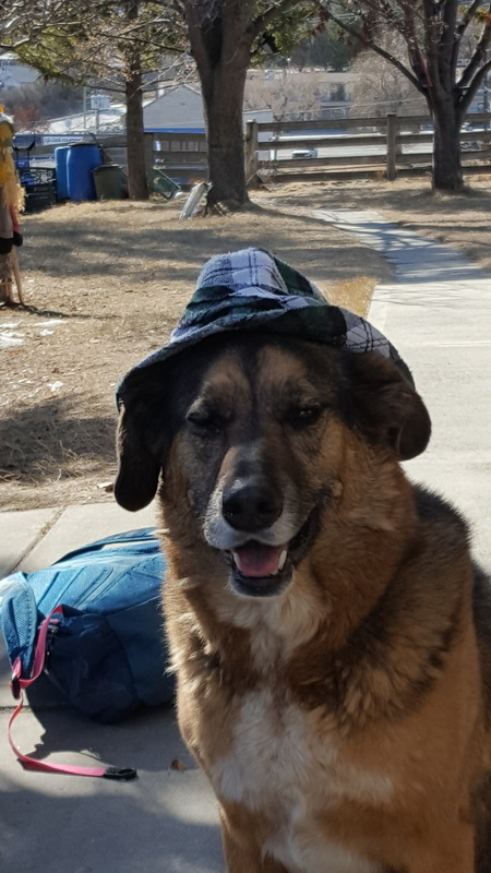 Kujo