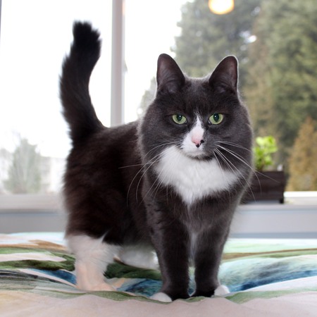 Mia