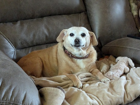Bonnie 
