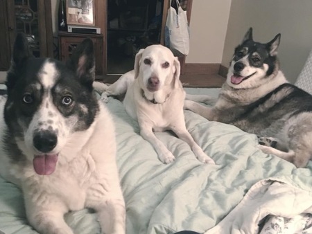 Ian, Moses, & Kylee