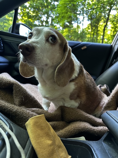 Peggy
