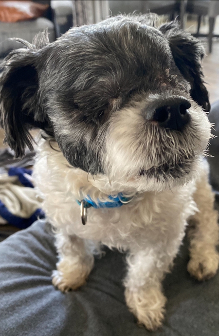 Tobias 