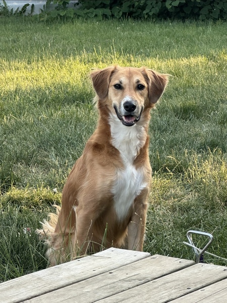 Lucy 