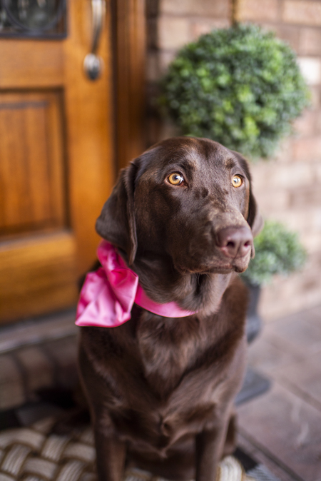 Penny