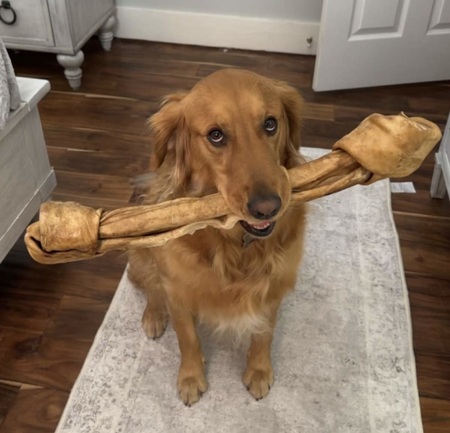 Tucker