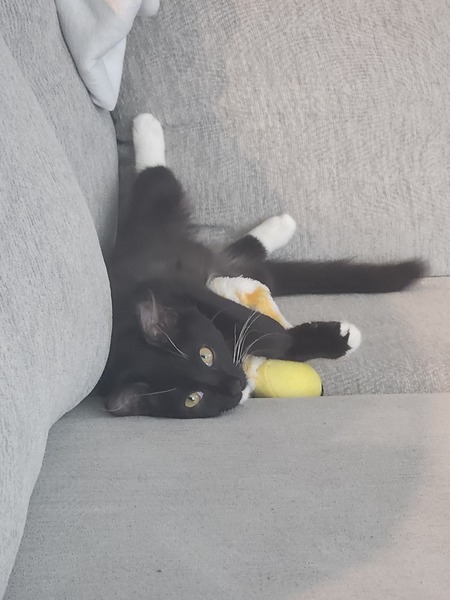 Binx