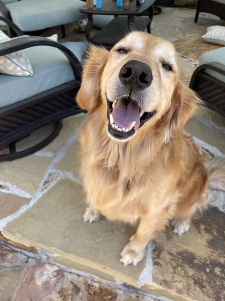 Rufus