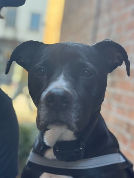 Penny
