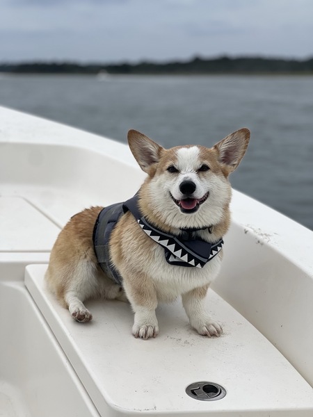 Archie