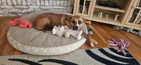 Roxy