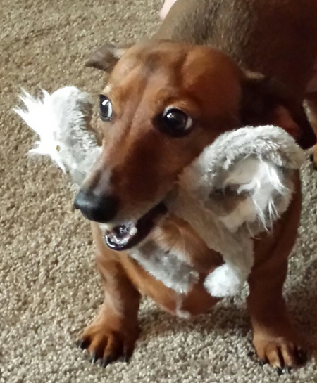 Oscar 