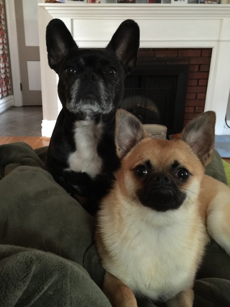 Buster and Sammie