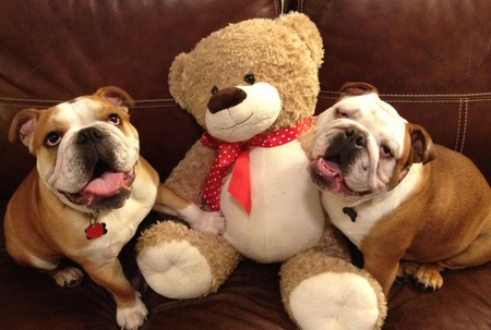 Henry and Tank