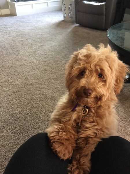 Lucy