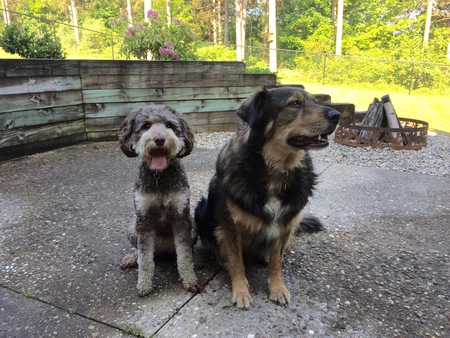 Stella and Louisa 