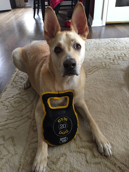 Radar