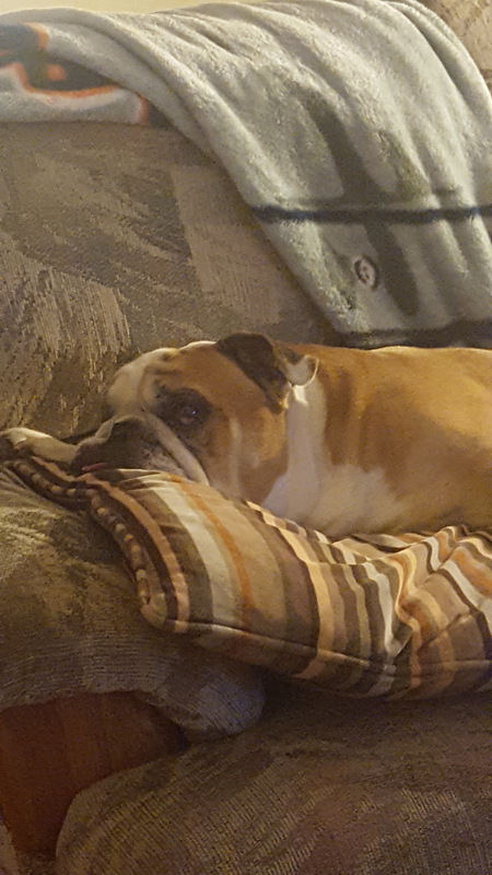 Mugsy