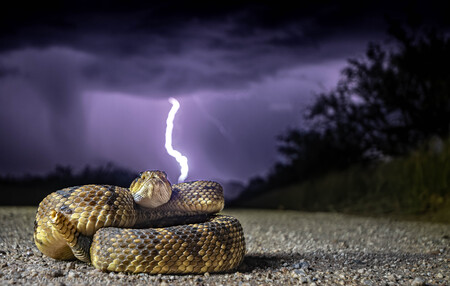 Lightning Strikes Gold