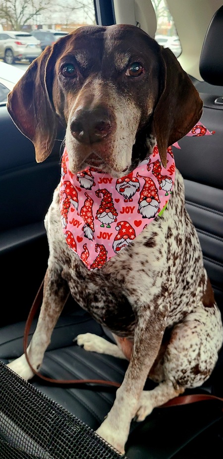 Maggie