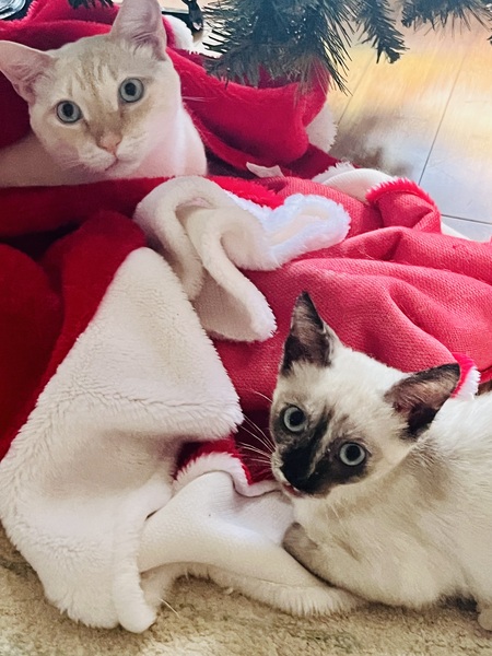 Jasper and Willow