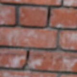 Entry image for Vv Cordova