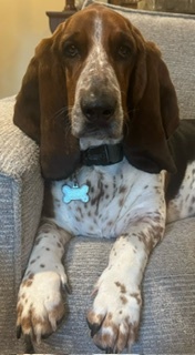 Baxter
