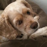 Entry image for Alex