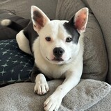 Entry image for Jasper  Wayne Wahl