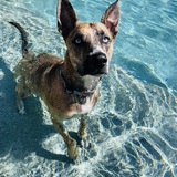 Entry image for Kona