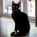 Entry image for Raleigh Michael Wahl 