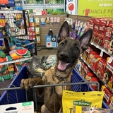 Entry image for Jericho