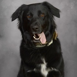 Entry image for Ace Evan 